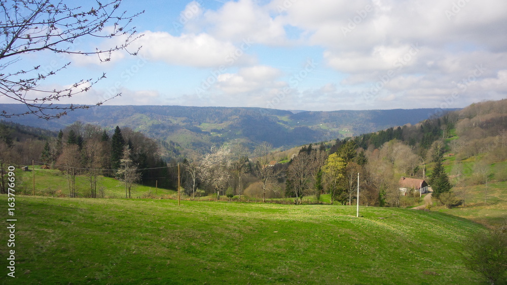 Fototapeta premium Les Vosges