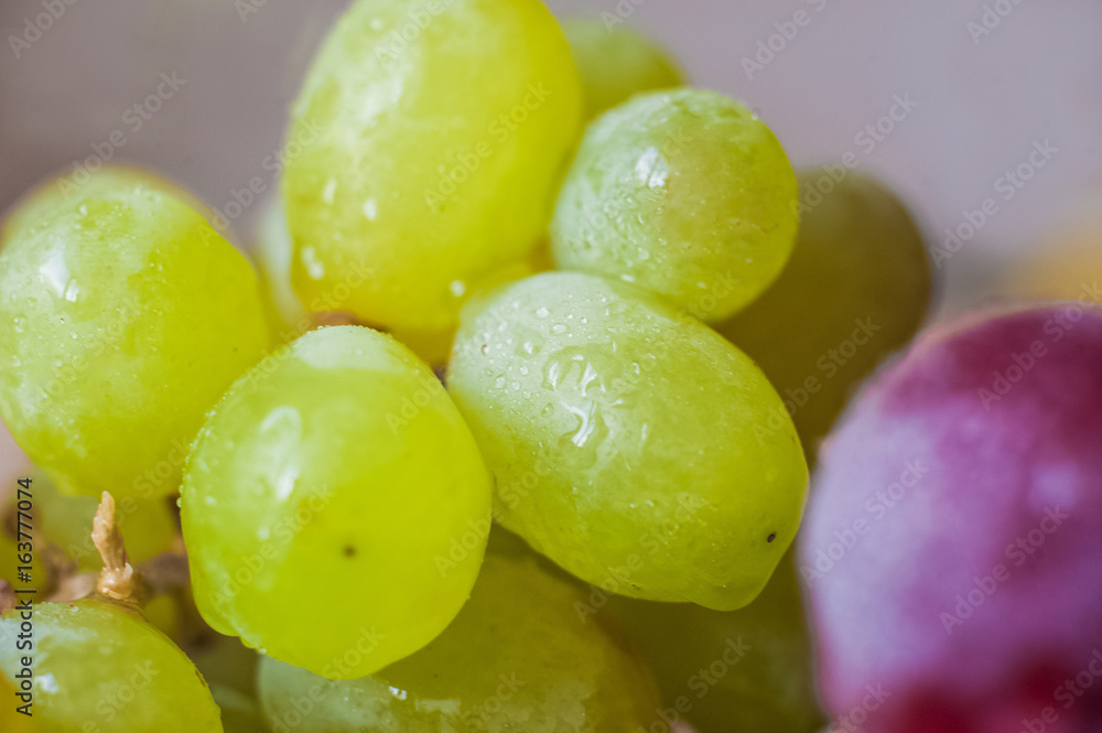 Blue grapes lie on a wooden background. Grapes macro. Grapes with droplets of water. Grapes in a cut. Grapes and wine corks. Blue and green grapes Blue grapes lie on a wooden background. Grapes macro. Grapes with droplets of water. Grapes in a cut. Grapes and wine corks. Blue and green grapes