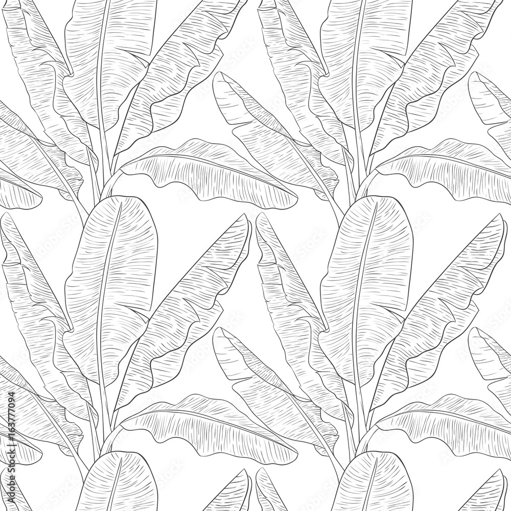 Banana leaves pattern vector