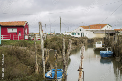 Paysage