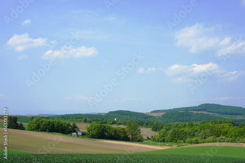 Agriculture area / Hills