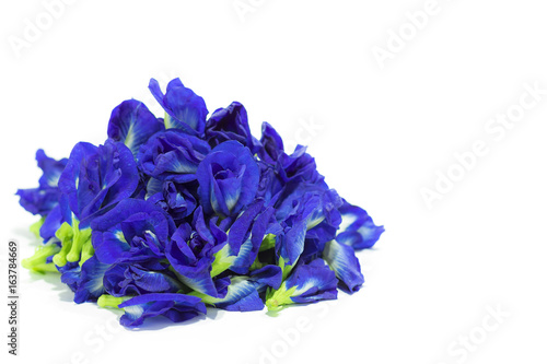 Close up view of Clitoria ternatea L. or Pea flowers isolated heap on white background and copy space.