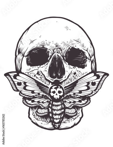 Skull with Moth Vector