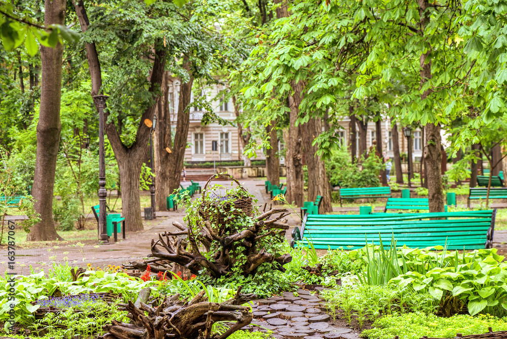 Green central park with flowers in chisinau city centre, rainy day and
