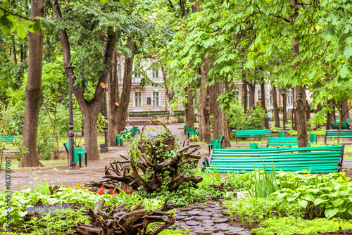Green central park with flowers in chisinau city centre, rainy day and branches, Moldova