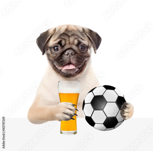Funny puppy holding a soccer ball and light beer above white banner. Isolated on white background © Ermolaev Alexandr