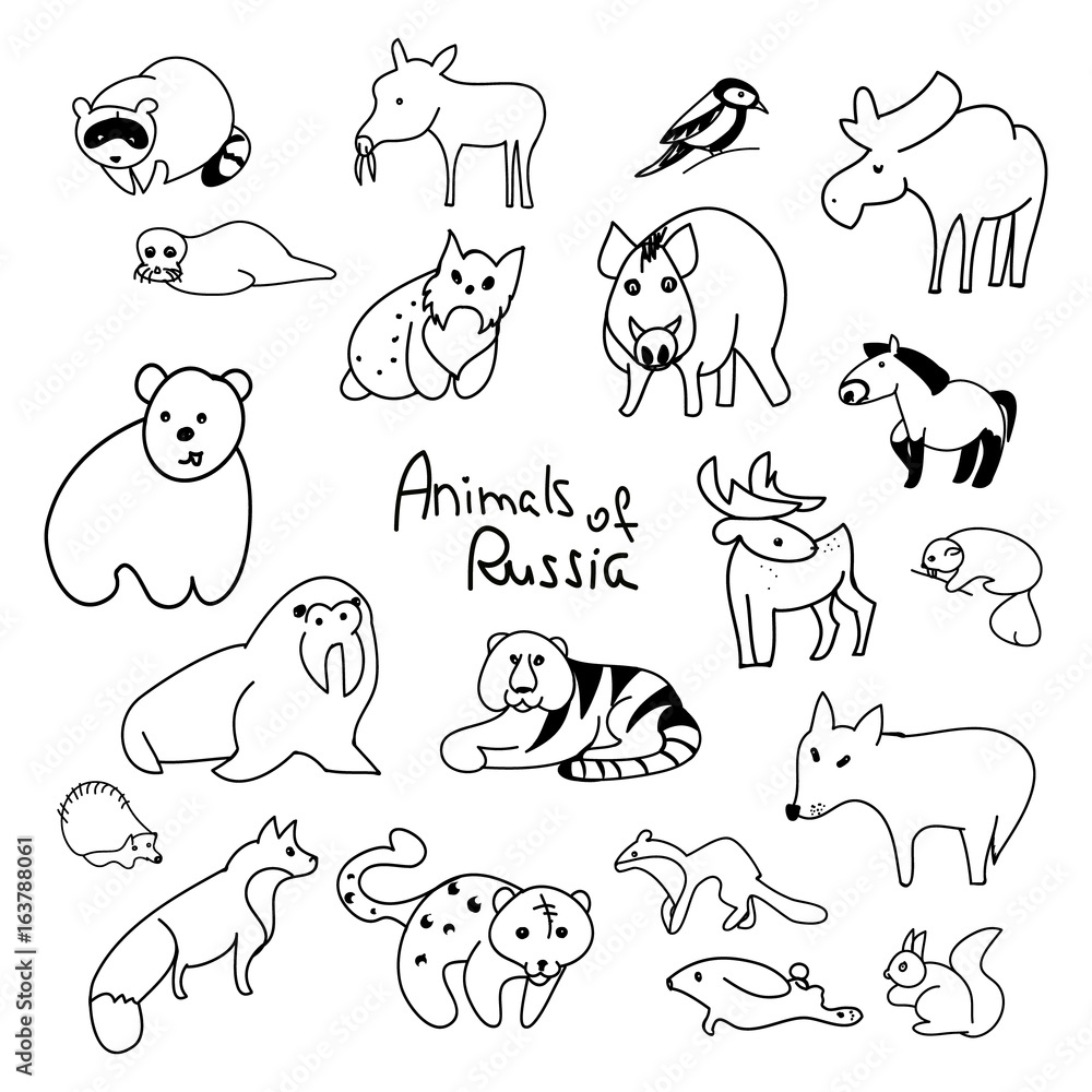 Animals of Russia (collection of abstractions) Animals of Russia (collection of abstractions)