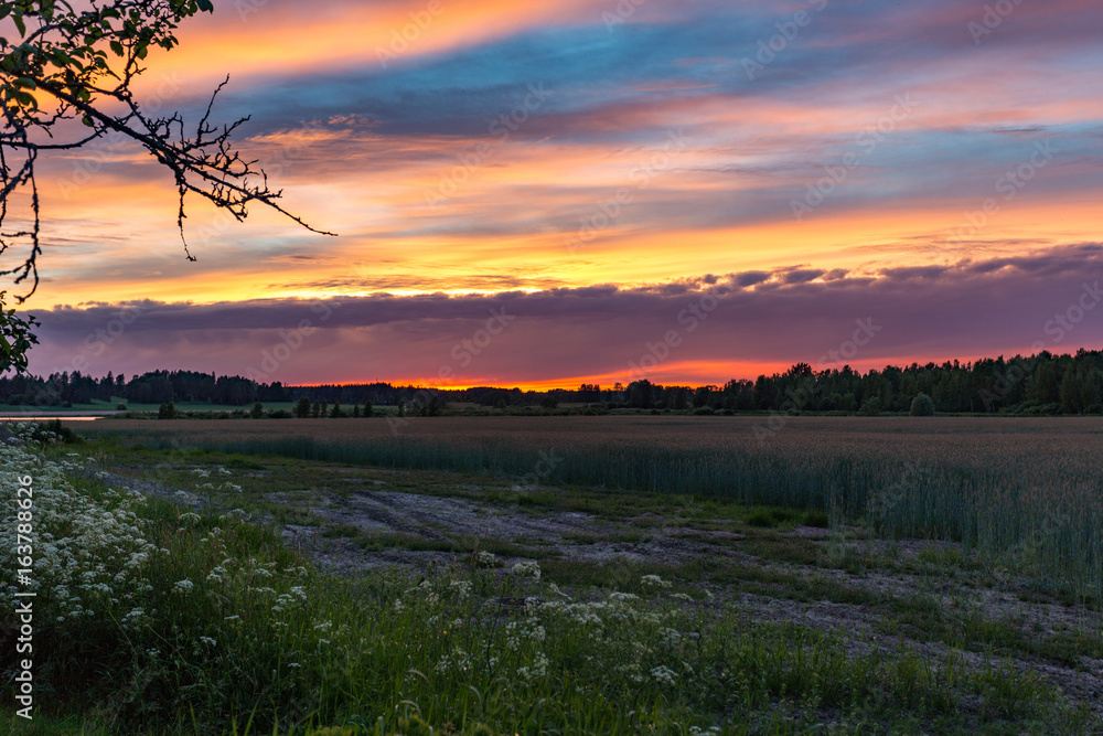 Obraz premium Summer Solstice in Finland 