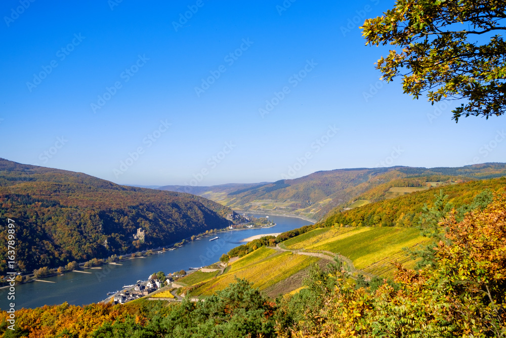 Obraz premium Der Rheingau im Herbst