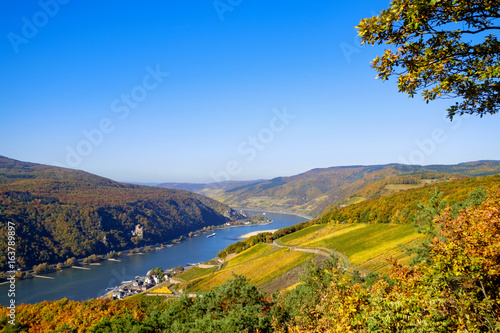Der Rheingau im Herbst photo
