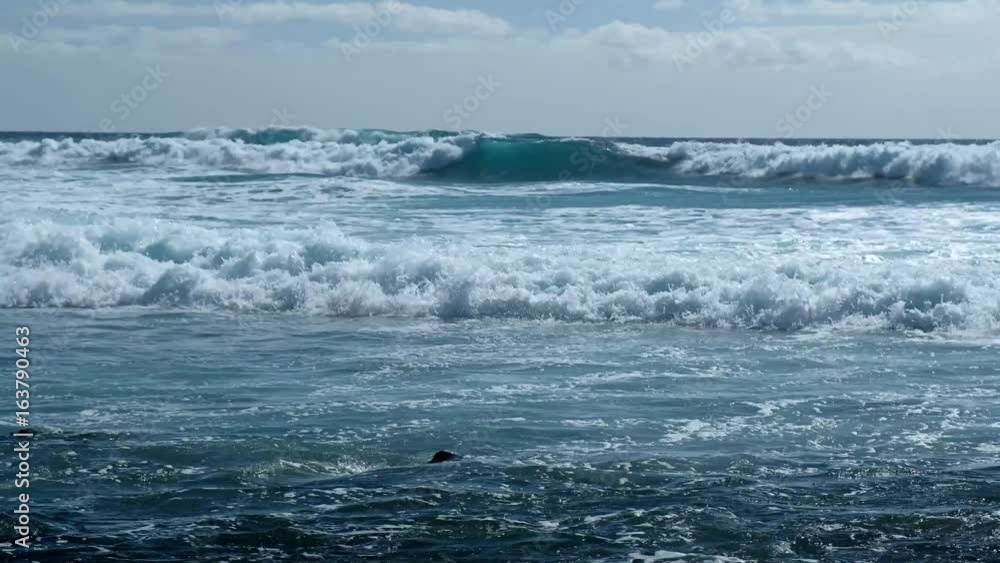 Atlantic ocean surf Atlantic ocean surf