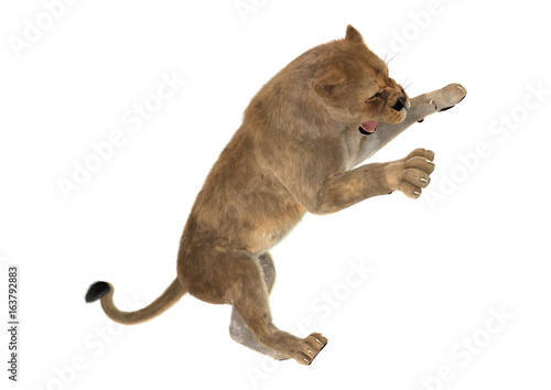 3D Rendering Female Lion on White