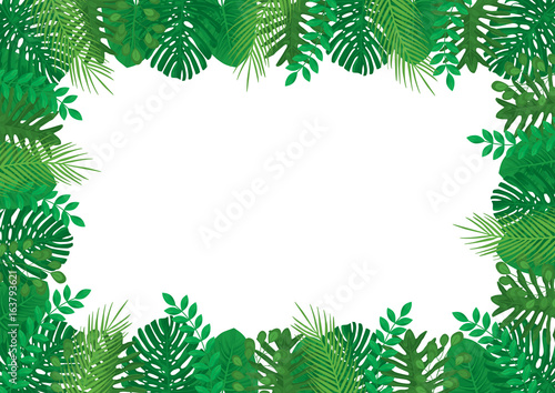 Tropical Leaves Vector Rectangle Frame Border Template