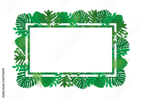Tropical Leaves Vector Rectangle Frame Template © designation