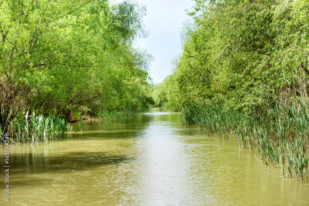 Fototapeta premium Landscape with tropical river
