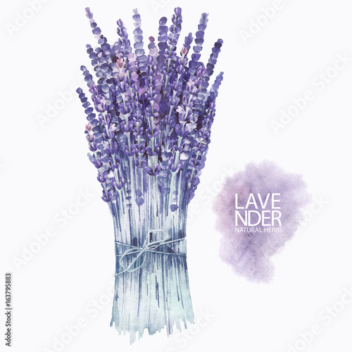 Watercolor lavender bouquet