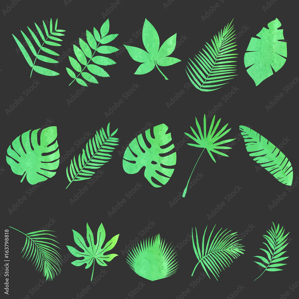 Set of leaves Set of leaves