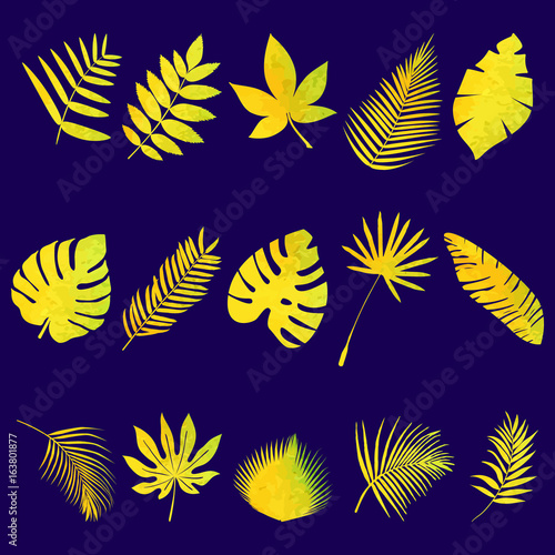 Set of leaves