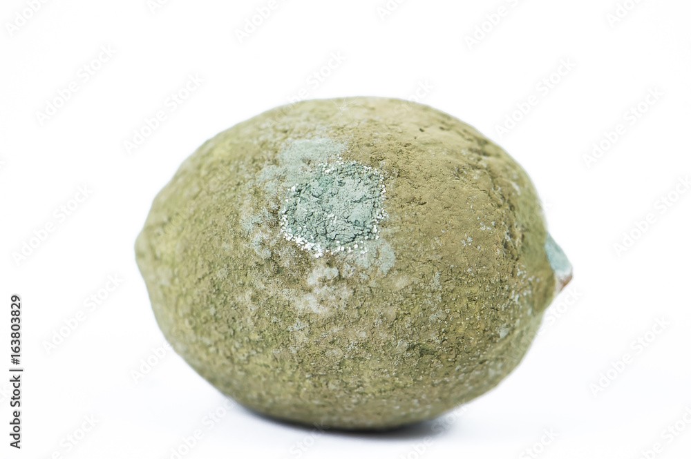 rotten lemons rotten lemons