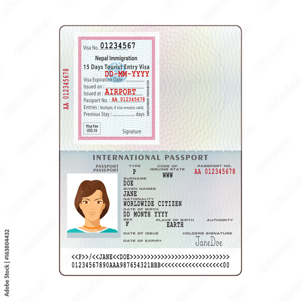 Open Nepal international passport visa sticker template in flat style.  Stock Vector | Adobe Stock