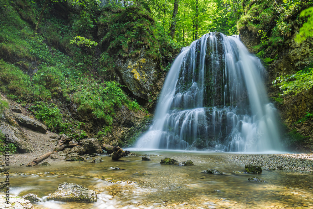 Obraz premium Wasserfall im Wald