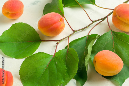 A fresh and ripe apricot and branch with green leaves on a white stone background. View from above.