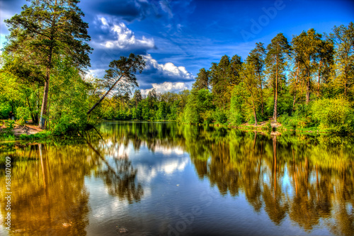 Reflection of the forest in the lake