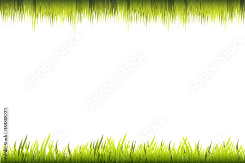 top and bottom vector green grass background