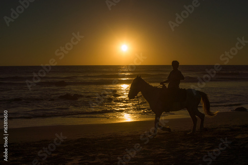 Horse and rider on beach at sunset