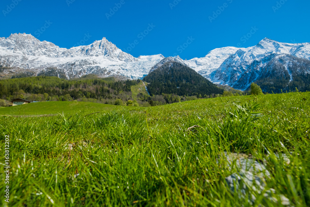 Fototapeta premium Mont Blanc