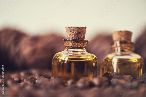 Oil of cedar nuts