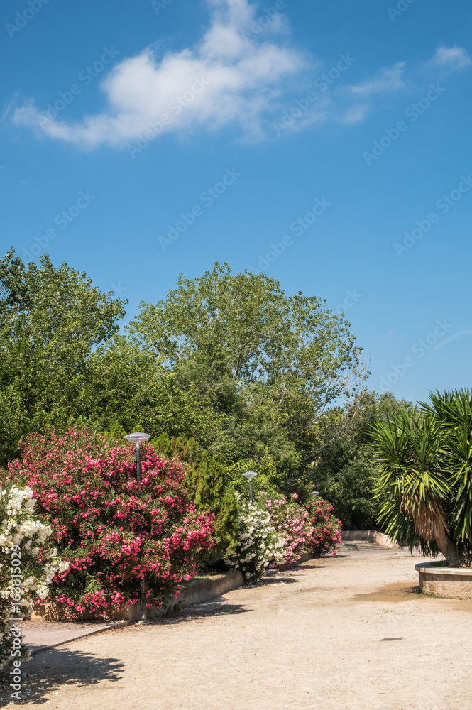 Park in Palma de Mallorca, Spain, on a sunny day Park in Palma de Mallorca, Spain, on a sunny day