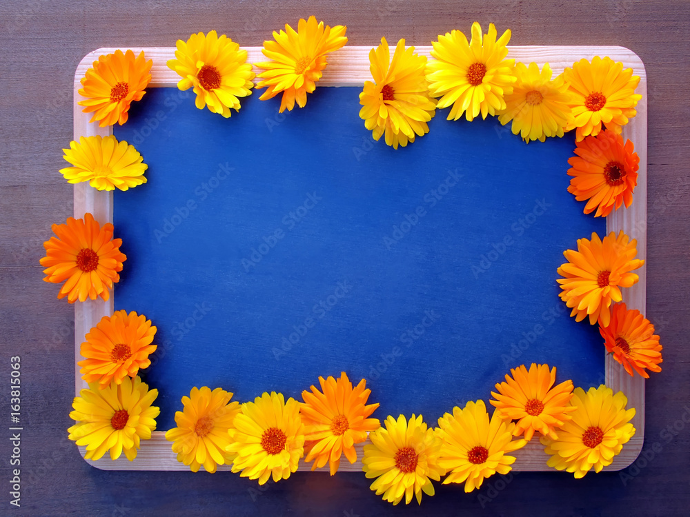 Fototapeta premium Ringelblumenblüten auf Schiefertafel