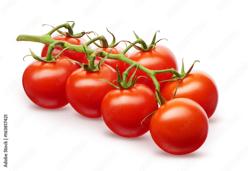 Branch of fresh red cherry tomatoes with green leaves Branch of fresh red cherry tomatoes with green leaves