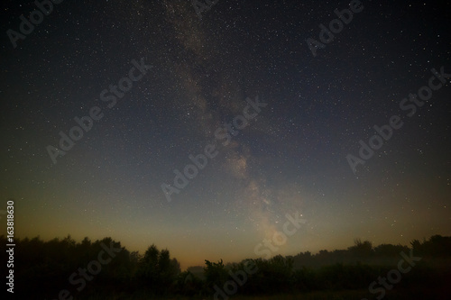 Stars of the Milky Way galaxy in the night sky. Space in the background of the forest.