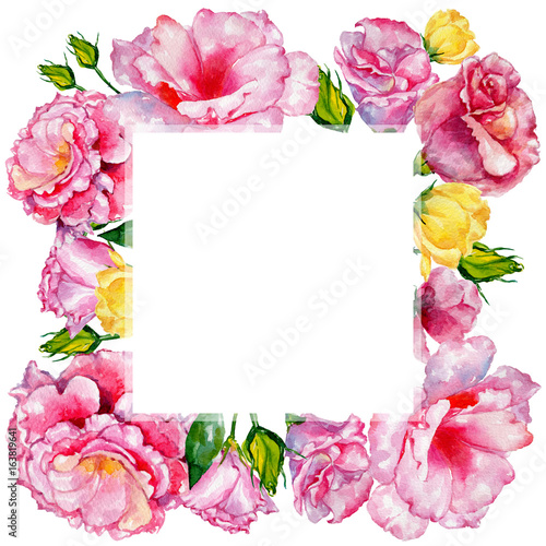 Wallpaper Mural Wildflower roses flower frame in a watercolor style. Full name of the plant: roses. Aquarelle wild flower for background, texture, wrapper pattern, frame or border. Torontodigital.ca