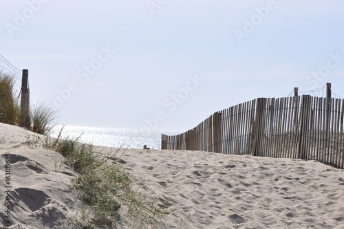 bords de plage/plages de Charente-Maritime (Oléron 17) © reflex33_74