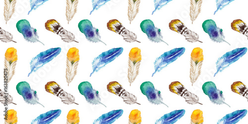Watercolor bird feather from wing isolated. Aquarelle wild flower for background, texture, wrapper pattern, frame or border.