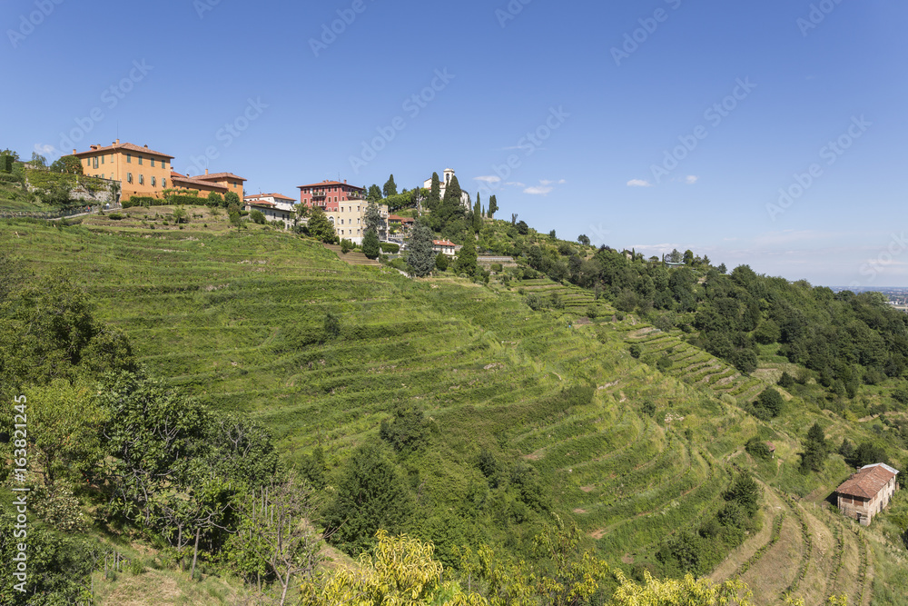 Fototapeta premium Beautiful landscape of Montevecchia (Italy)