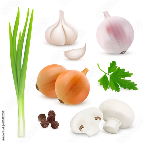 Vegetables realistic composition on white background with onions, garlic, mushrooms, parsley. Vector image