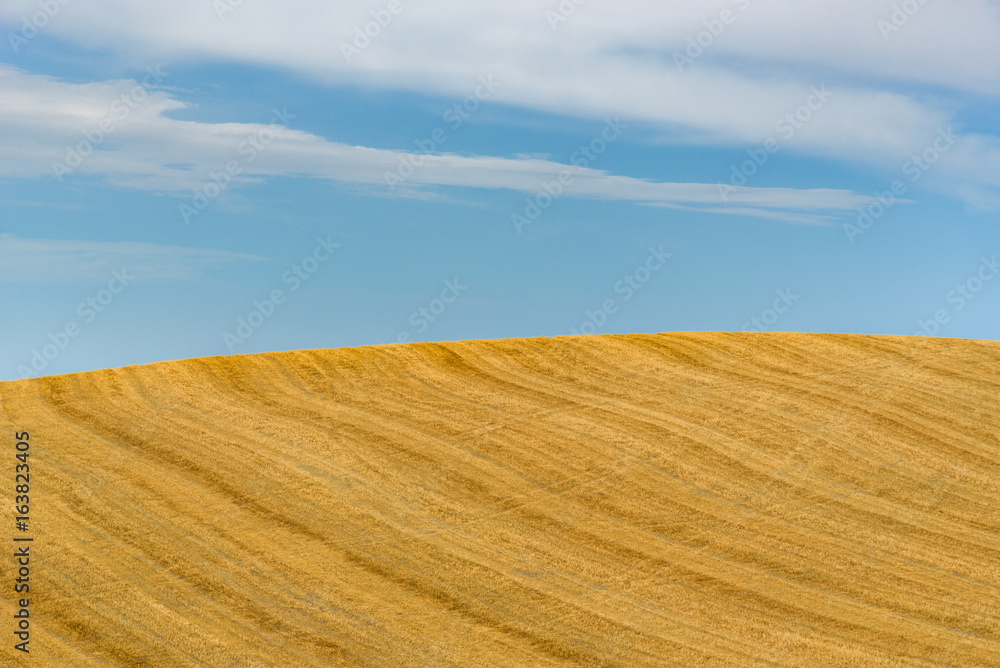 Fototapeta premium Summer landscape in Tuscany.