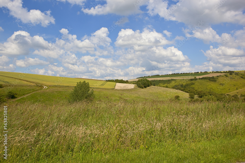 Fototapeta premium valley landscape