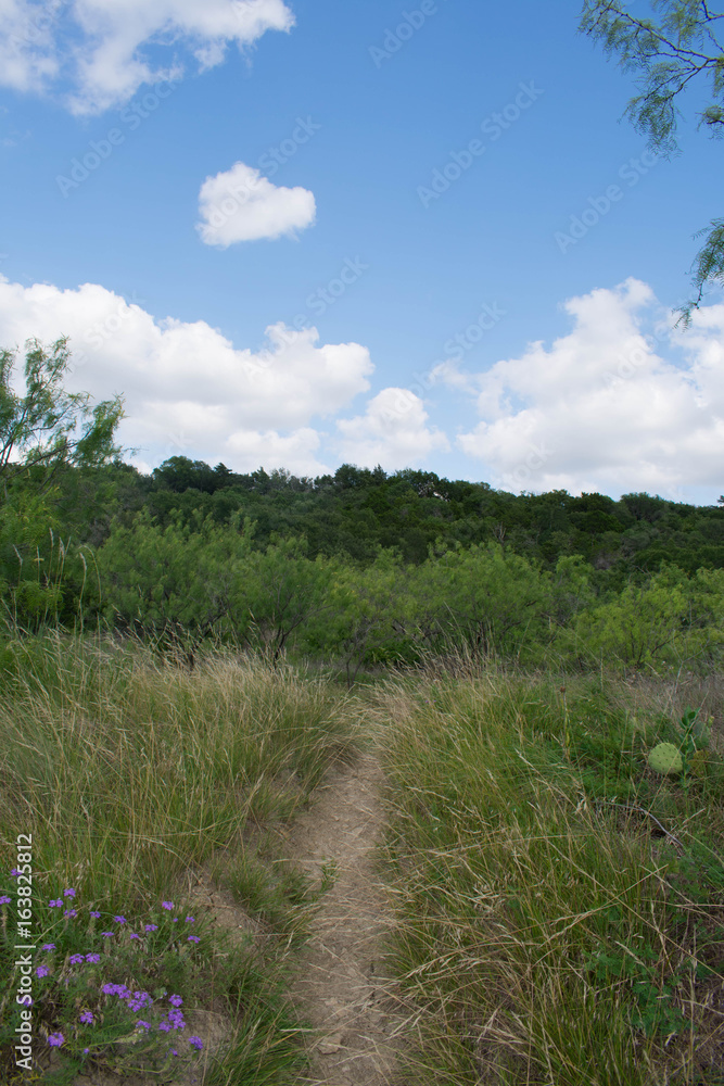 path path