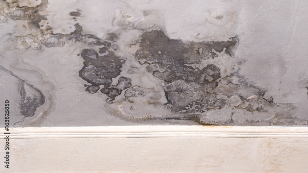 Dark Spots On Ceiling Problems Shelly Lighting