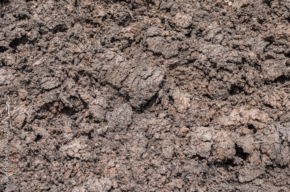 Texture and pattern background from dry soil earth. Texture and pattern background from dry soil earth.