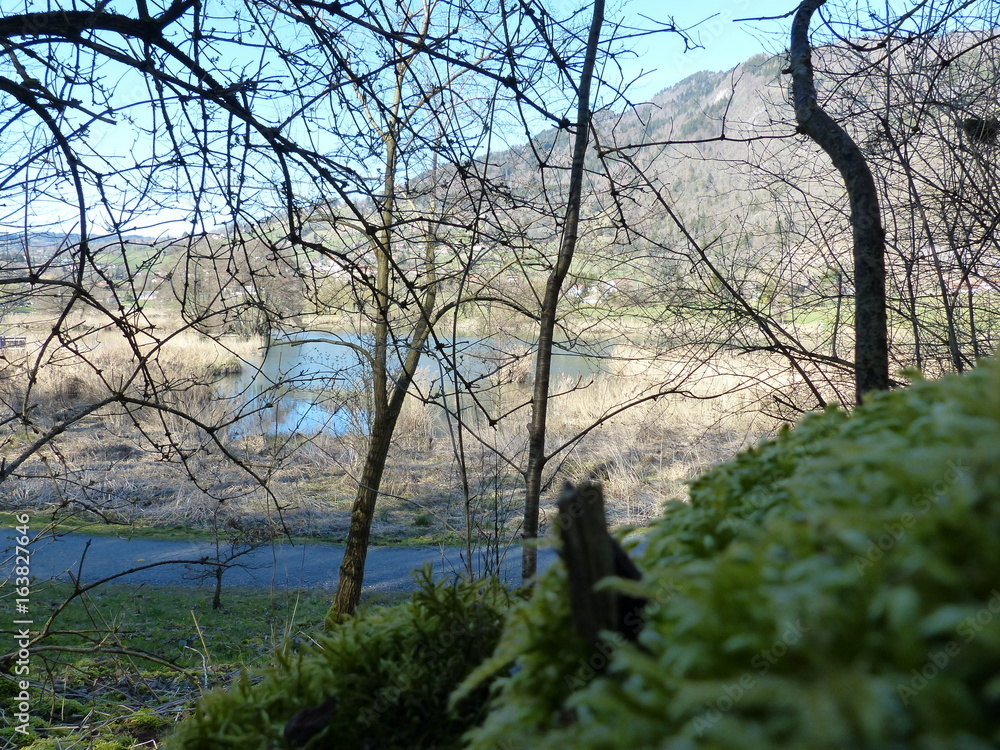 Lac du Môle