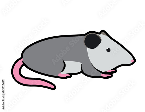 cartoon vector illustration of an opossum