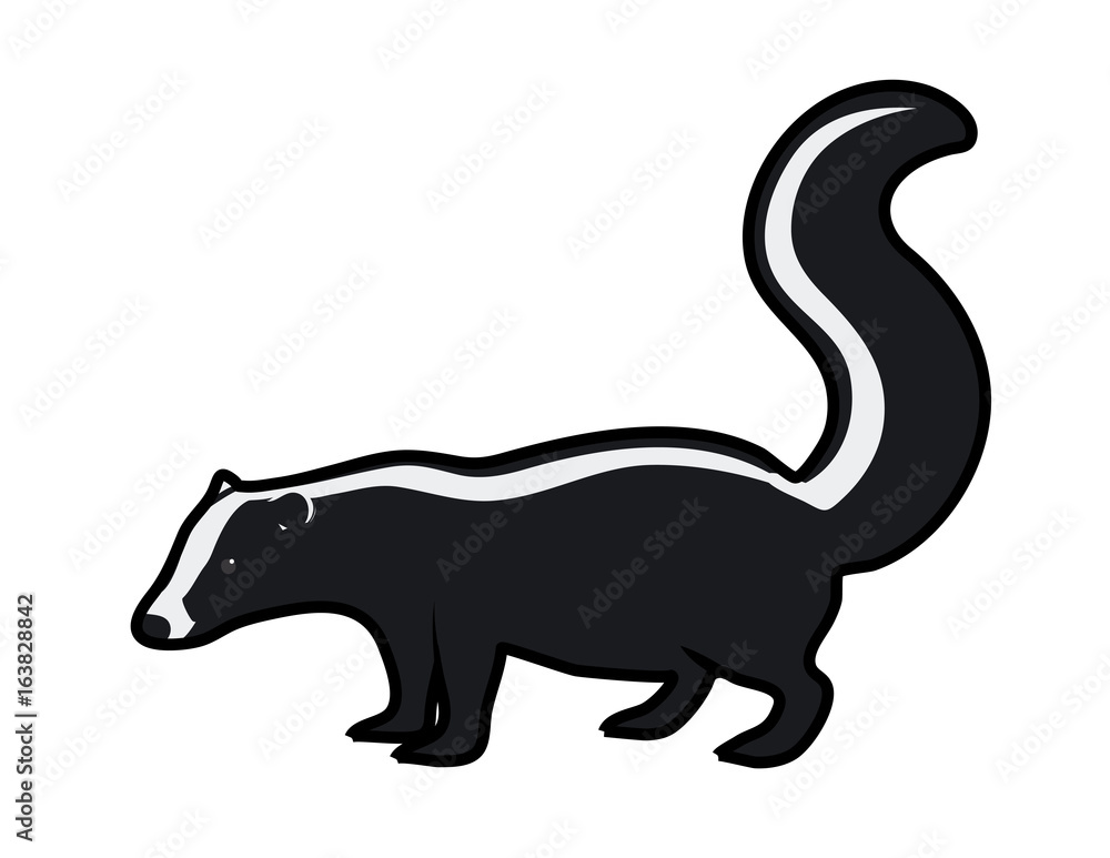 cartoon vector illustration of a skunk cartoon vector illustration of a skunk