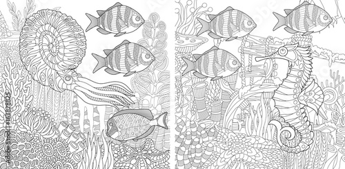 Coloring page collection of nautilus, sea horse and fish. Freehand sketch for adult antistress colouring book in zentangle style.