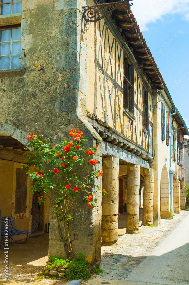 Rosenbusch an einer Fassade im historischen Labastide-d’Armagnac, Aquitanien, Frankreich